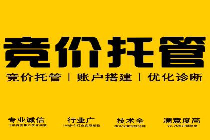 竞价代运营的成果展示：某公司广告效果显著提升的秘诀